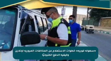 «سهولة فورية» خطوات الاستعلام عن المخالفات المرورية أونلاين وكيفية الدفع إلكترونيًا